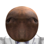 Capibara