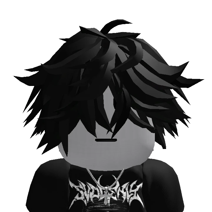 roblox_user_7100569710