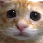 @YoSoyUnaPersona1