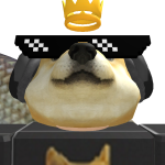 @Doge_king6715