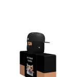 @DBTBULLETZ