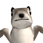 Camomille