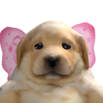 @Chxrry_BlxssomssXo