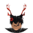 PrinceOfPassion