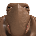 @JAMARXUS_0