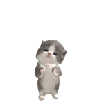 @thatsmefh