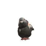 @xxgamerpro114