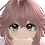 @roblox_user_1714170717