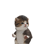 @watqzz