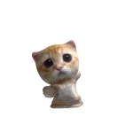 @Iuiszx