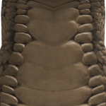 @spinosaurs