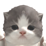 @CMOILENA_ACCEPTEMOI