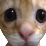 @MG10moon