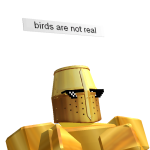 @birds_aintrealmyboy