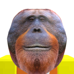 @Blockedhuman