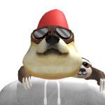 @ashno7
