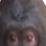 @DogieWasTakenPro