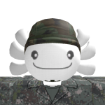 @koreacoocoo