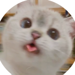 @Yooki216
