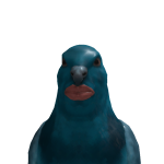 @shad0ws_ss
