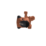 @Tracylitts10