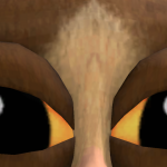 @noel4556