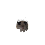 @Kiwigogogogo