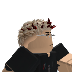 @ImSlugRBLX