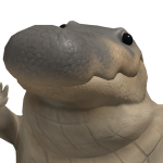 cokie