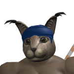 @NotSyNcronized