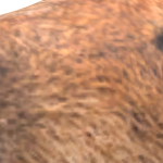 @YARIBLOX241