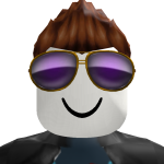 robinvd21