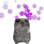 @Alokio_gamer