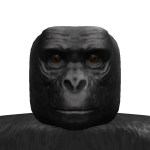 @DARK_SHADOWZZZZZZZZ