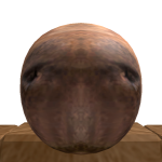 @nic0oom6