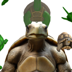 @razerturtle