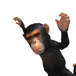 @BrandenB109