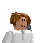 @st0rms0ld1er