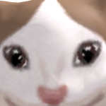 @Your_LocalPopCat