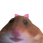 @SillyShuuXD