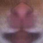 hamyak