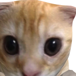 @Mjdagoatsab