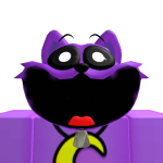 @manyroblox1234