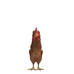 @roblox_user_2285565508