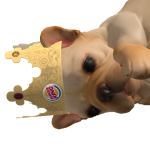 @unnidwejhcfu