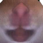 @Senix_YT4545