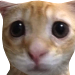zoe