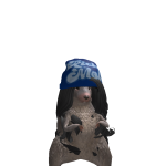 @Neha250