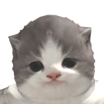 @William_lwlng