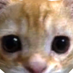 @savitarplays1